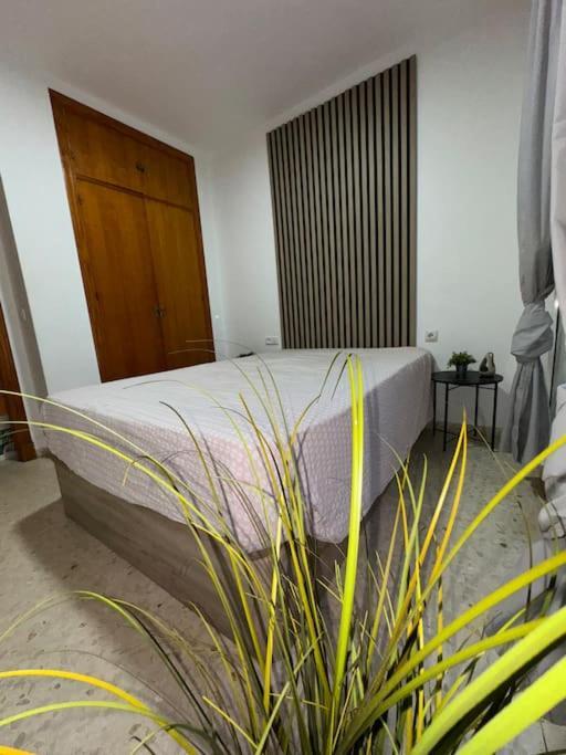 Apartamento Del Sur El Puerto de Santa María Εξωτερικό φωτογραφία